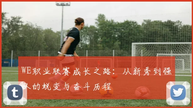 WE职业联赛成长之路：从新秀到强队的蜕变与奋斗历程