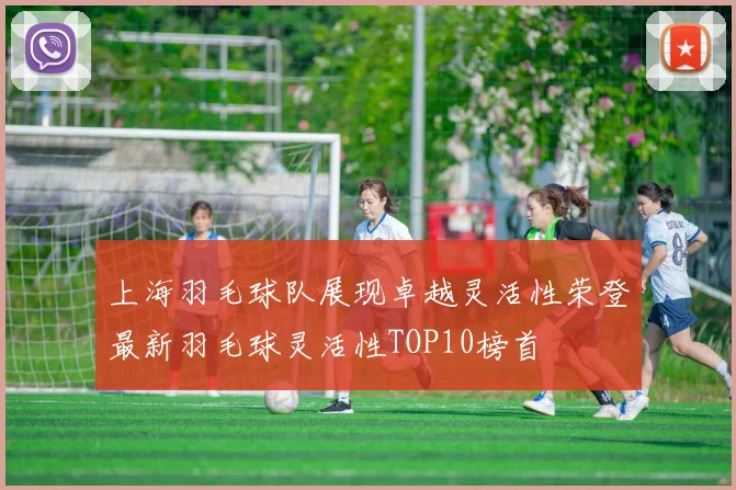 上海羽毛球队展现卓越灵活性荣登最新羽毛球灵活性TOP10榜首