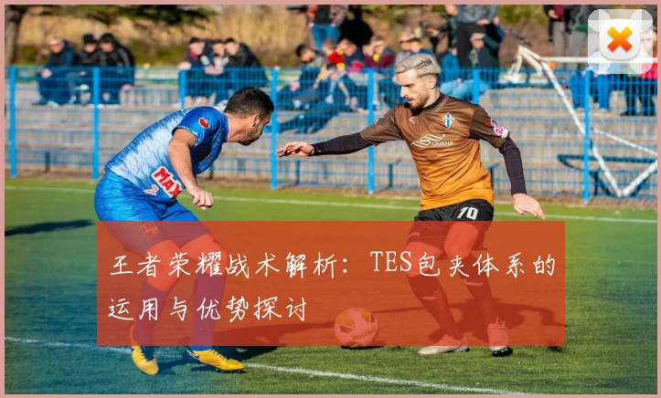 王者荣耀战术解析：TES包夹体系的运用与优势探讨